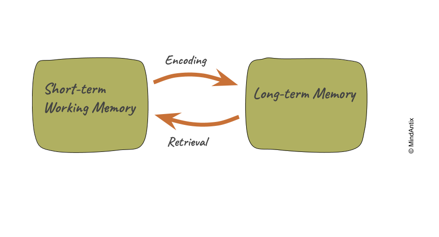 understanding-working-memory-challenges-dot-it-blog-archive